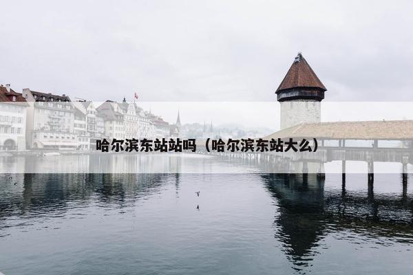 哈尔滨东站站吗（哈尔滨东站大么）
