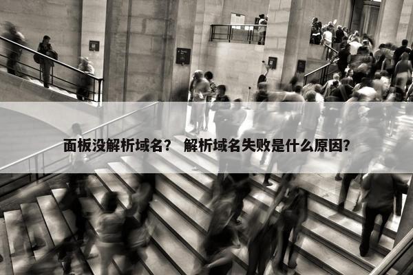面板没解析域名？ 解析域名失败是什么原因？