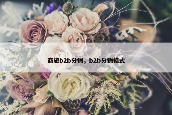 商旅b2b分销，b2b分销模式