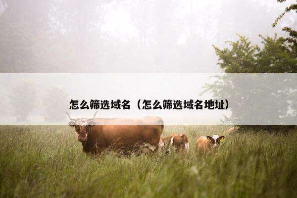 怎么筛选域名（怎么筛选域名地址）