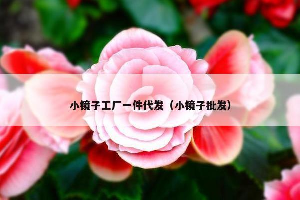 小镜子工厂一件代发（小镜子批发）