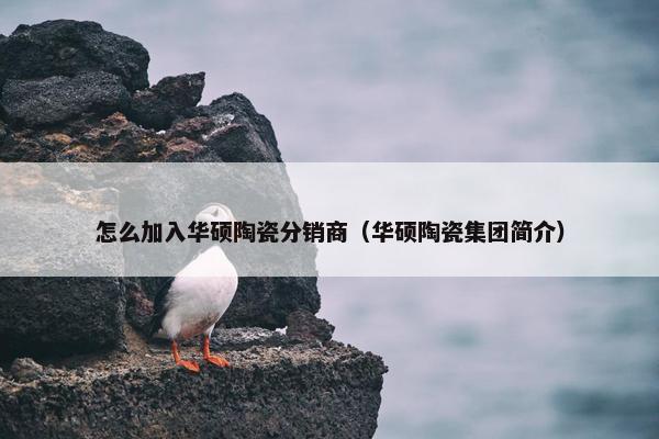 怎么加入华硕陶瓷分销商（华硕陶瓷集团简介）