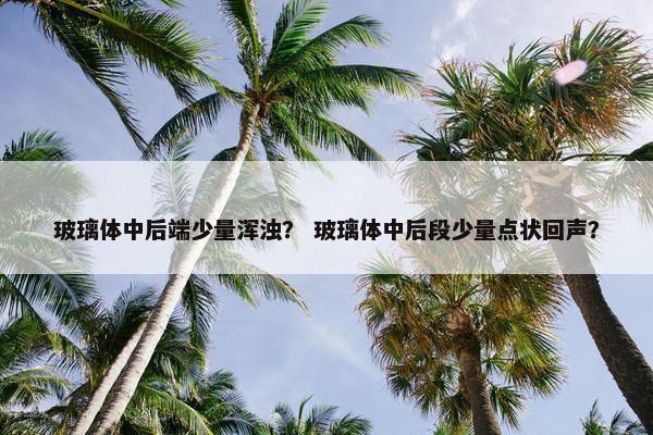 玻璃体中后端少量浑浊？ 玻璃体中后段少量点状回声？
