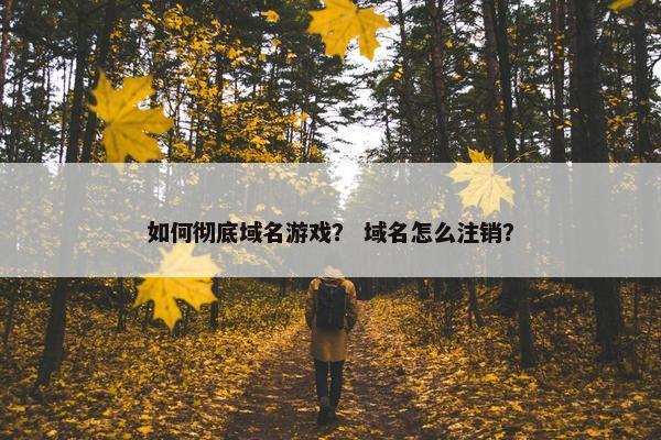 如何彻底域名游戏？ 域名怎么注销？