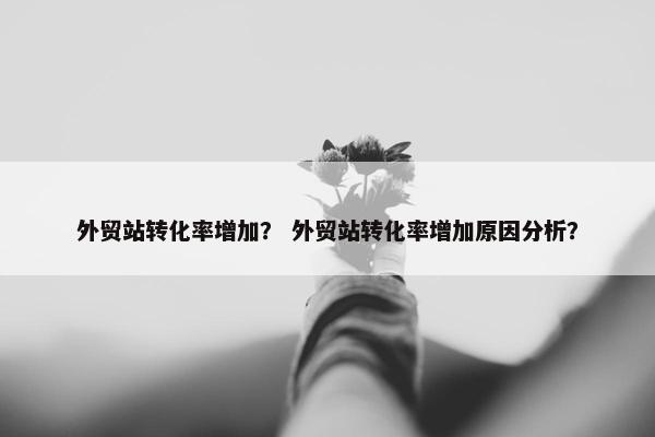 外贸站转化率增加？ 外贸站转化率增加原因分析？