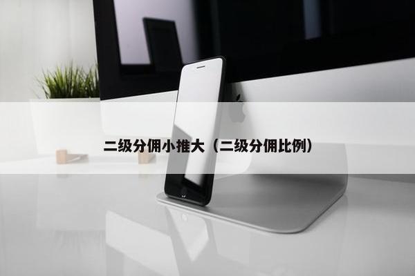 二级分佣小推大（二级分佣比例）