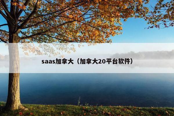 saas加拿大（加拿大20平台软件）