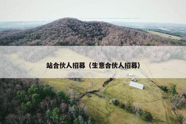 站合伙人招募（生意合伙人招募）