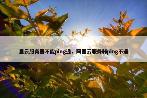 里云服务器不能ping通，阿里云服务器ping不通