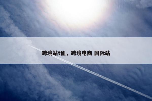 跨境站t恤，跨境电商 国际站