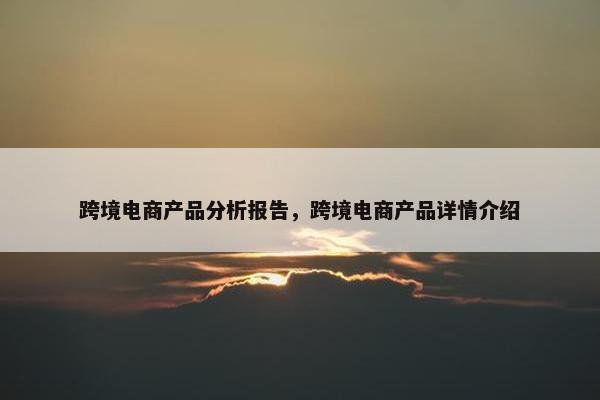 跨境电商产品分析报告，跨境电商产品详情介绍
