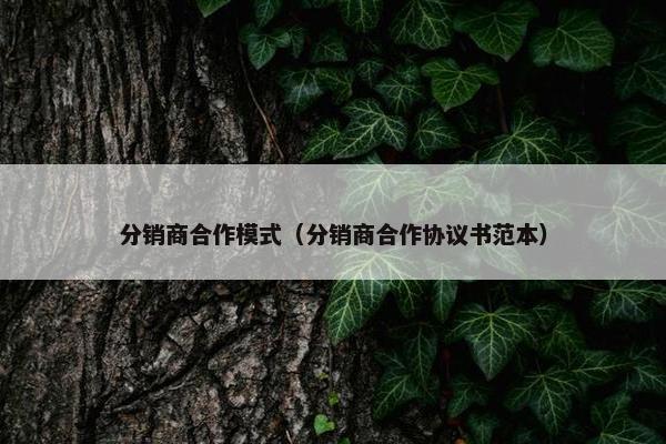 分销商合作模式（分销商合作协议书范本）
