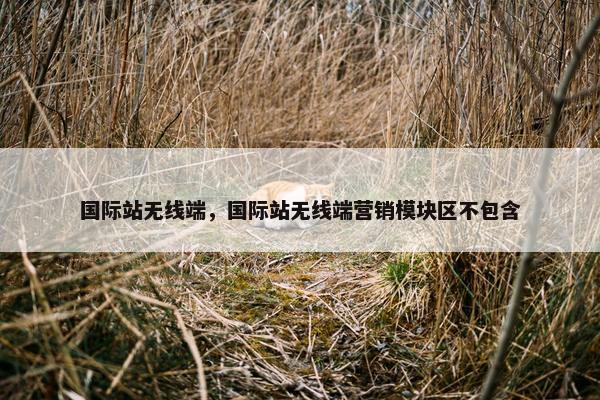 国际站无线端，国际站无线端营销模块区不包含