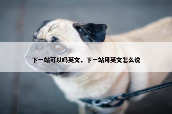 下一站可以吗英文，下一站用英文怎么说