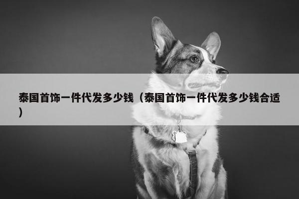 泰国首饰一件代发多少钱（泰国首饰一件代发多少钱合适）