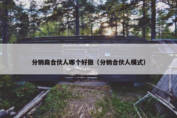 分销商合伙人哪个好做（分销合伙人模式）