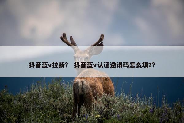 抖音蓝v拉新？ 抖音蓝v认证邀请码怎么填?？