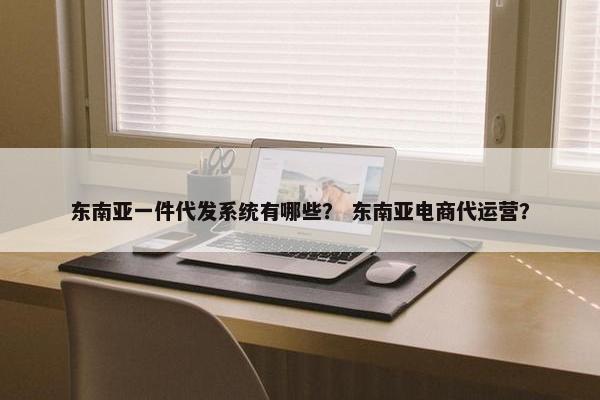 东南亚一件代发系统有哪些？ 东南亚电商代运营？