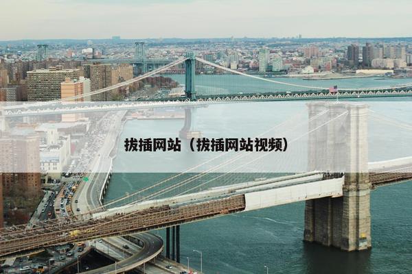 拔插网站（拔插网站视频）