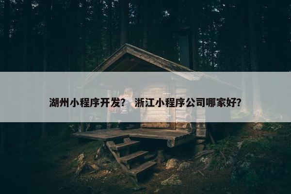 湖州小程序开发？ 浙江小程序公司哪家好？