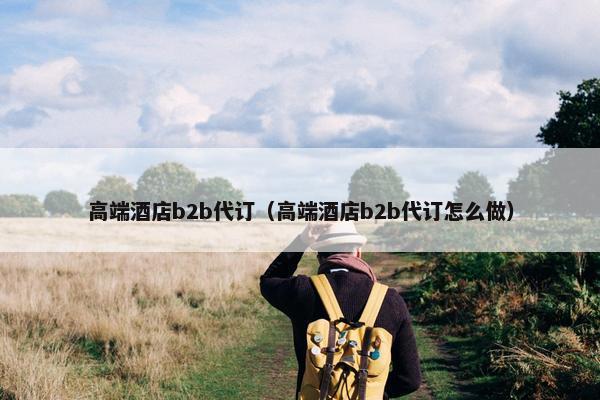 高端酒店b2b代订（高端酒店b2b代订怎么做）