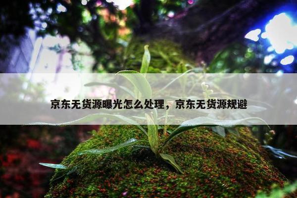 京东无货源曝光怎么处理，京东无货源规避