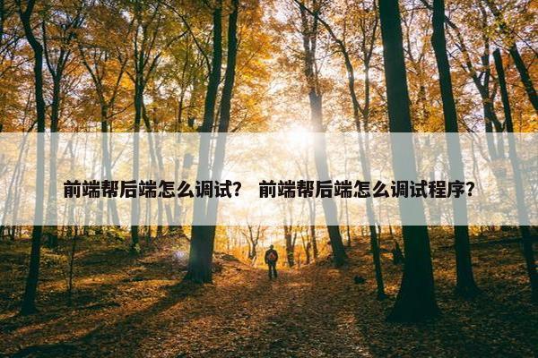 前端帮后端怎么调试？ 前端帮后端怎么调试程序？
