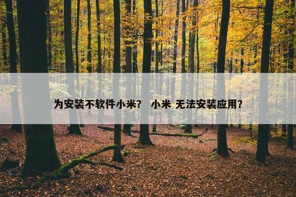 为安装不软件小米？ 小米 无法安装应用？
