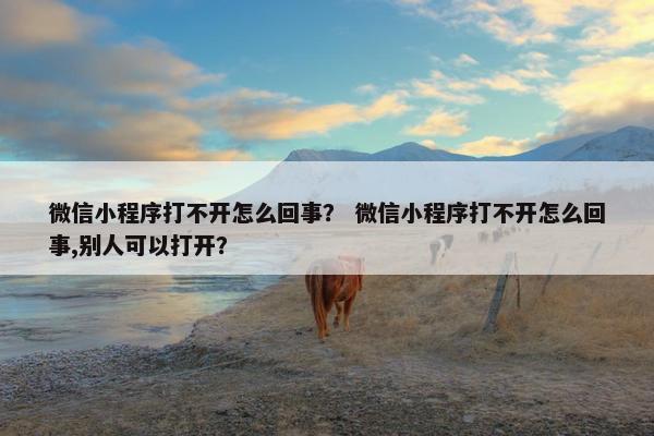 微信小程序打不开怎么回事？ 微信小程序打不开怎么回事,别人可以打开？