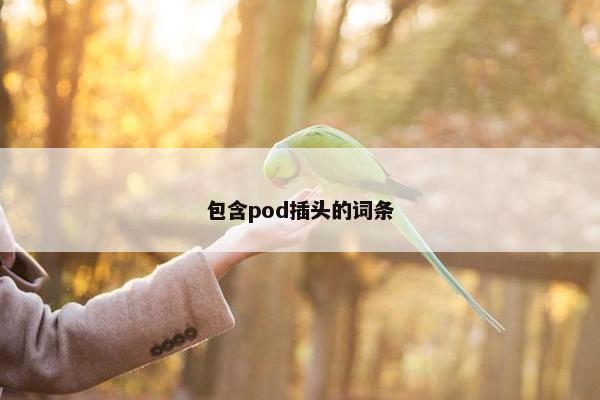 包含pod插头的词条