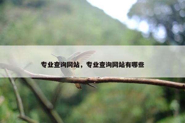专业查询网站，专业查询网站有哪些