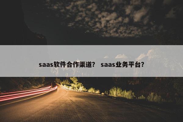 saas软件合作渠道？ saas业务平台？