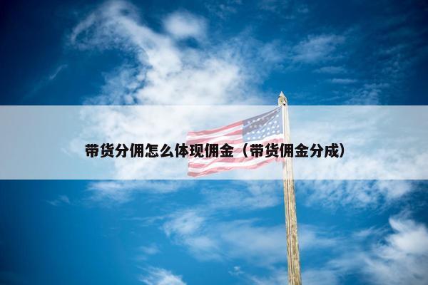 带货分佣怎么体现佣金（带货佣金分成）