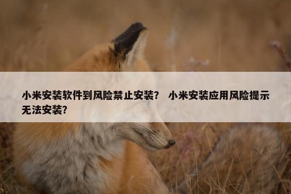 小米安装软件到风险禁止安装？ 小米安装应用风险提示无法安装？