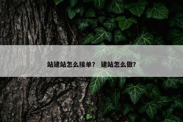 站建站怎么接单？ 建站怎么做？