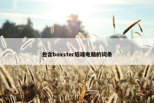 包含boxster后端电脑的词条