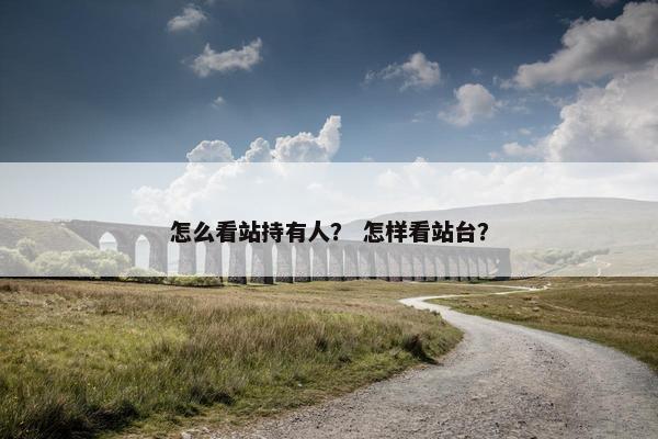 怎么看站持有人？ 怎样看站台？