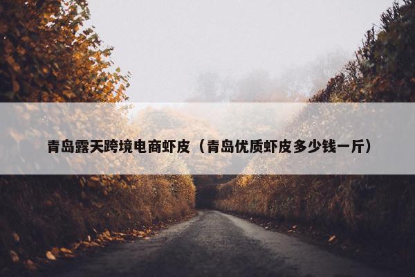 青岛露天跨境电商虾皮（青岛优质虾皮多少钱一斤）