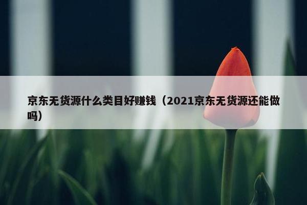 京东无货源什么类目好赚钱（2021京东无货源还能做吗）