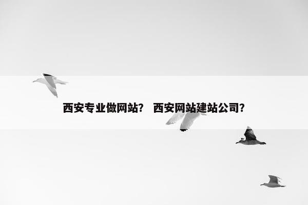 西安专业做网站？ 西安网站建站公司？