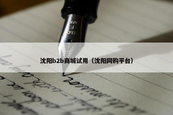 沈阳b2b商城试用（沈阳网购平台）