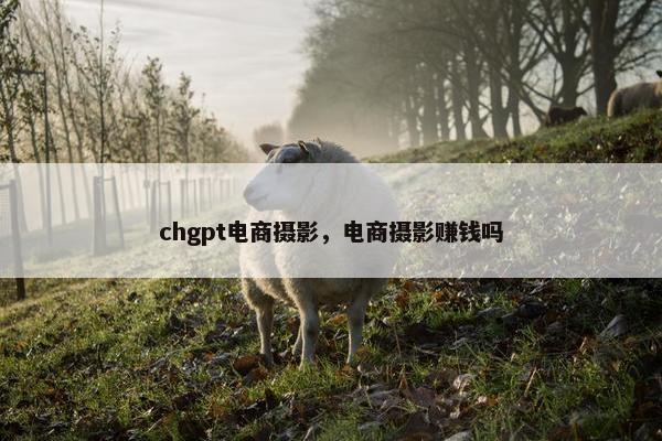 chgpt电商摄影，电商摄影赚钱吗