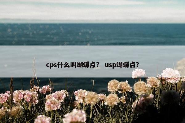 cps什么叫蝴蝶点？ usp蝴蝶点？