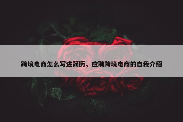跨境电商怎么写进简历，应聘跨境电商的自我介绍