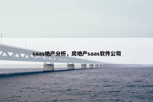 saas地产分析，房地产saas软件公司