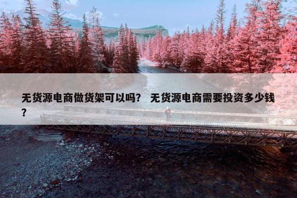无货源电商做货架可以吗？ 无货源电商需要投资多少钱？