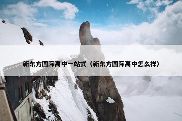 新东方国际高中一站式（新东方国际高中怎么样）