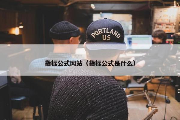 指标公式网站（指标公式是什么）