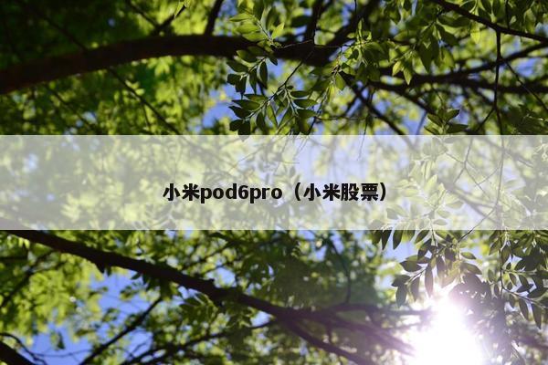 小米pod6pro（小米股票）