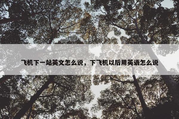 飞机下一站英文怎么说，下飞机以后用英语怎么说